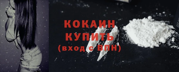 прущий лед Арсеньев
