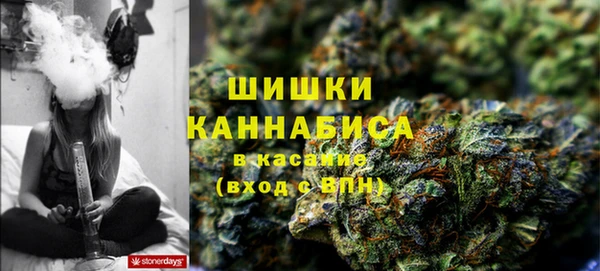 прущий лед Арсеньев