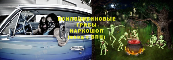 прущий лед Арсеньев